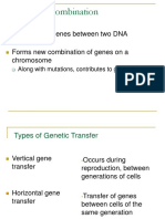 Genetic Recombination: Exchange of Genes Between Two DNA Molecules Forms New Combination of Genes On A Chromosome