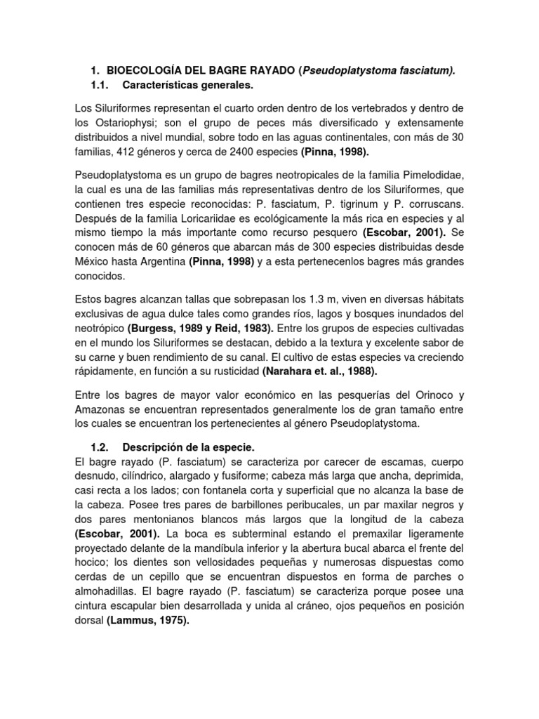 BIOECOLOGÍA DEL BAGRE RAYADO (Pseudoplatystoma Fasciatum) . | PDF ...