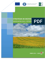 SDL Cetatea Tamasidava - Actualizata PDF