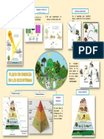 Flujos de Energia - Infografía