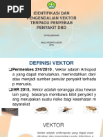 Idetifikasi Dan PVT DBD