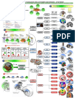 Transmission de Puissance Mécanique 5-1.pdf