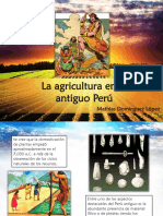 Agricultura Del Antiguo Peru