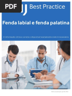 Fenda Labial e Fenda Palatina