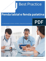 Fenda Labial e Fenda Palatina