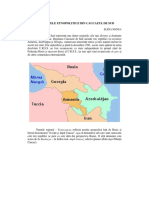 11. Elena Manea, Conflicte etnopolitice din Caucazul de Sud.pdf