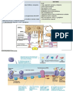 Fisiología y Bioquímica de La Visión