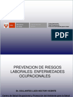 5. Prevencion de Riesgos Laborales   Enfermedades Ocupacionales JULIO 2015 Dr Collantes.ppt