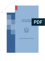 Provincial Audit (Civil Auidt) Punjab PDF