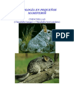 Ccmppmam06 PDF