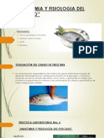 Anatomia y Fisiologia Del Pescado