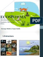 Ecosistema: Sarango Baldera Yojan Smith