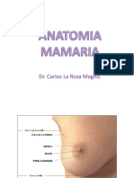 Original Malformacion Mamaria 16 Mayo. 2018. Dr La Rosa. Unfv.