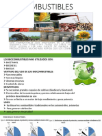 Bio Combustibles