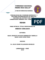 Tesis Pedro Ruiz PDF