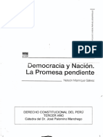 Manrique - Democracia y Nación