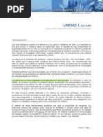 00 - Básico Identidad y Cultura PDF
