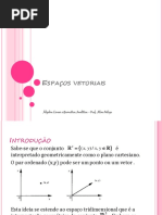 Espaços-Vetoriais.pdf