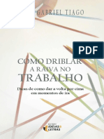 Como Driblar a Raiva No Trabalho - Luiz Gabriel Tiago