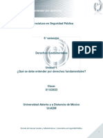 Unidad 1. Que Se Debe Entender Por Derechos Fundamentales PDF