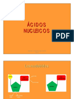 8 Acidos Nucleicos PDF