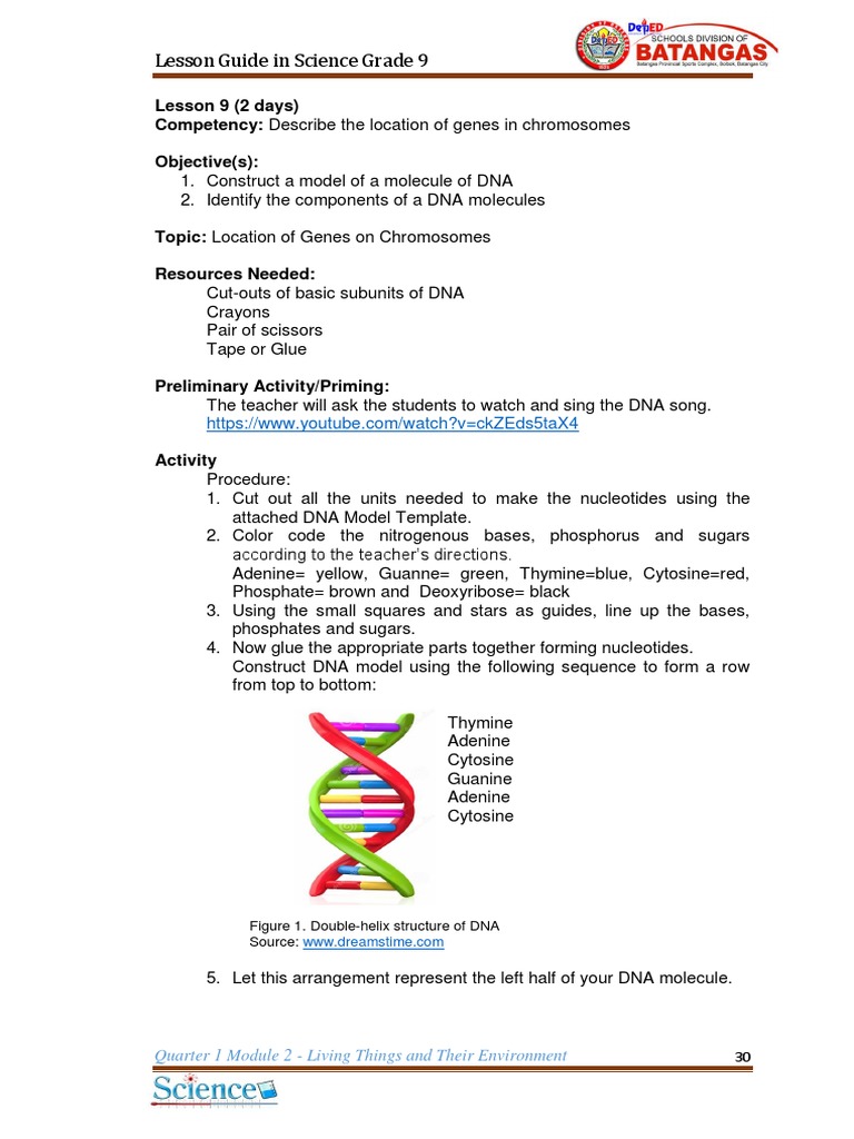 LessonGuide 2module G9Biology Module 2 On Template PDF PDF Dna