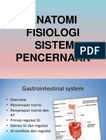 Anatomi Sistem Pencernaan