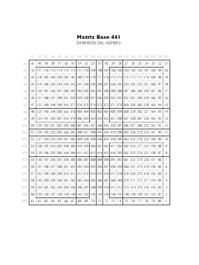 Matrice Numérique de 441 Éléments | PDF