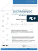 Tesis n2823 Menendez PDF