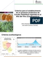 Criterios de Establecimiento Cultivo de Curuba