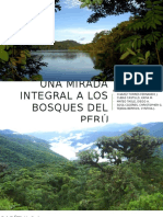 Bosques Del Perú Exposicion