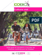 Guia Culturavial b8 PDF