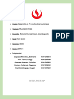 Dpi Trabajo Final 201701 PDF