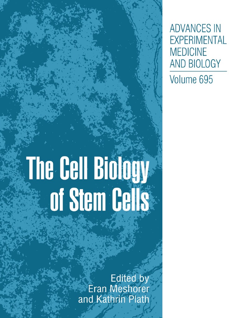 The Cell Biology of Stem Cell PDF | PDF | Cell Potency | Cellular ...