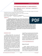 Cancer Stem Cells and Signaling Pathways in Radioresistance