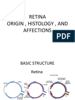 Retina Origin, Histology, and Affections