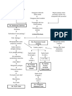 Pathway Disritmia2