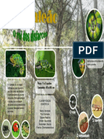 Ficha2 PDF