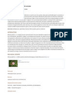 Mimosa Pudica L. (Laajvanti) : An Overview PDF