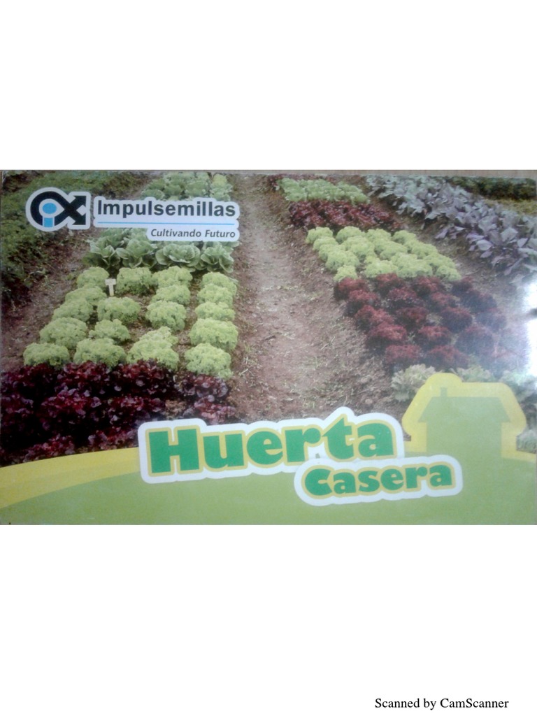 Scanned Document Analysis Guide | PDF