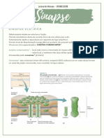 Sinapse: estrutura e função