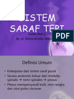 Anatomi Sistem Saraf Tepi