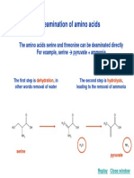 16 de Amination