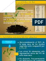 Nutricion de La Planta Exponer