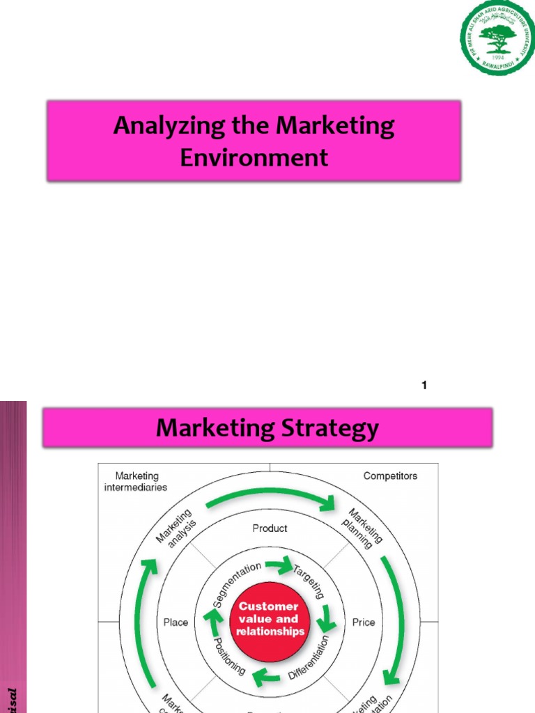Analyzing the Marketing Environment | PDF | Marketing | Economies