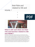 DIC and their Role and function related to SSI and MSME.doc