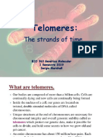 Telomeres:: The Strands of Time