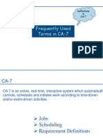 Frequently Used Terms in CA-7