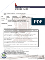Ejemplo Diario de Campo AEES2