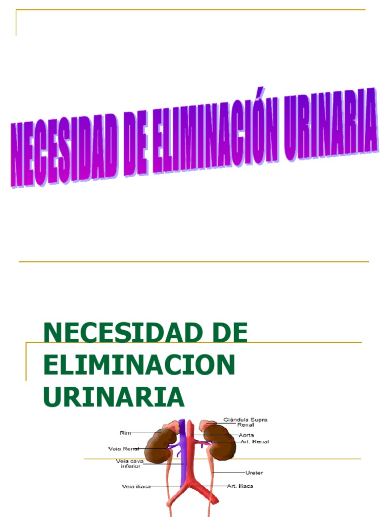 5..Necesidad_de_Eliminacion_Urinaria.ppt Riñón